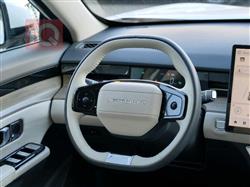 جيتور داشينج